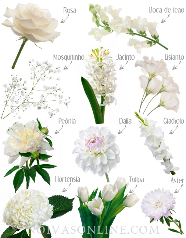 Flores brancas para casamento