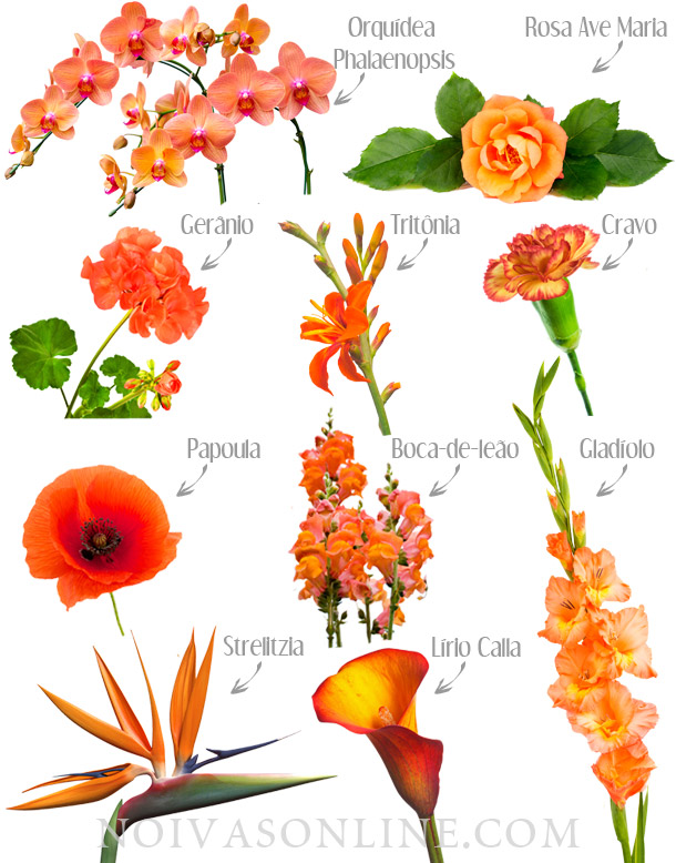 Flores laranja para casamento