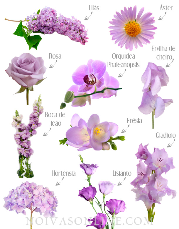 Nomes de flores lilás para casamento