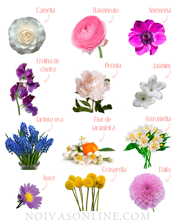 48 Flores para decoração de casamento | Fotos e nomes de flores