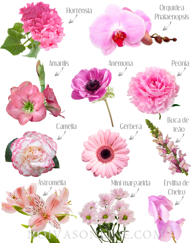 Flores cor de rosa para casamento