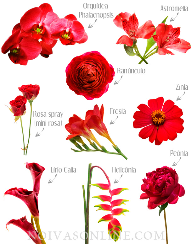 Flores vermelhas para casamento