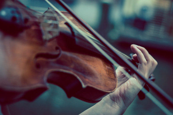 Mão de homem tocando violino em cerimônia de casamento